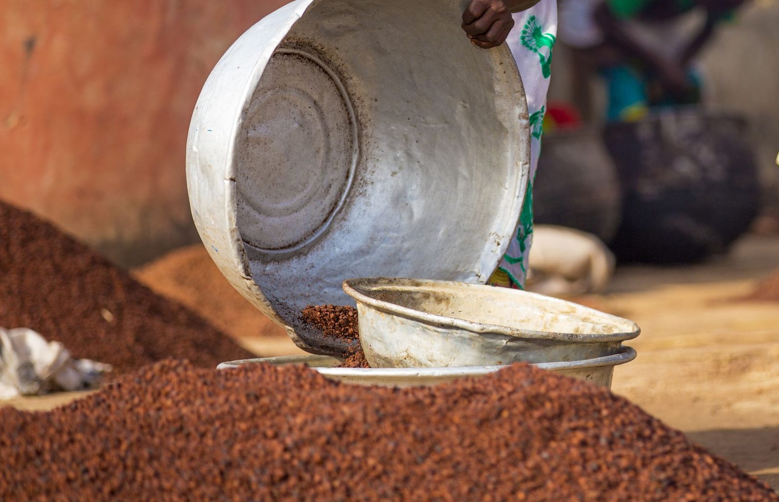 Amandes de karité concassées et grillées versées d'une bassine en métal, au Ghana