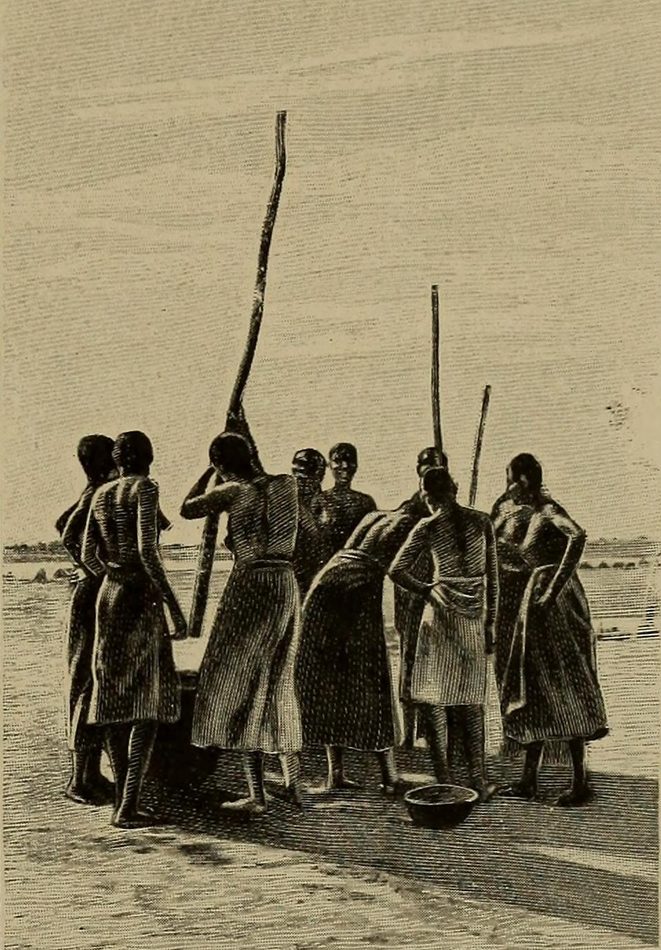 Gravure ancienne d'un groupe de femmes vues de dos pilant le mil avec de longs pilons autour d'un mortier