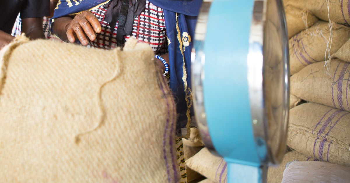 Sac de jute posé contre une balance devant une pile de sacs d'amandes de karité